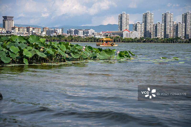 云南弥勒市湖泉生态园图片素材