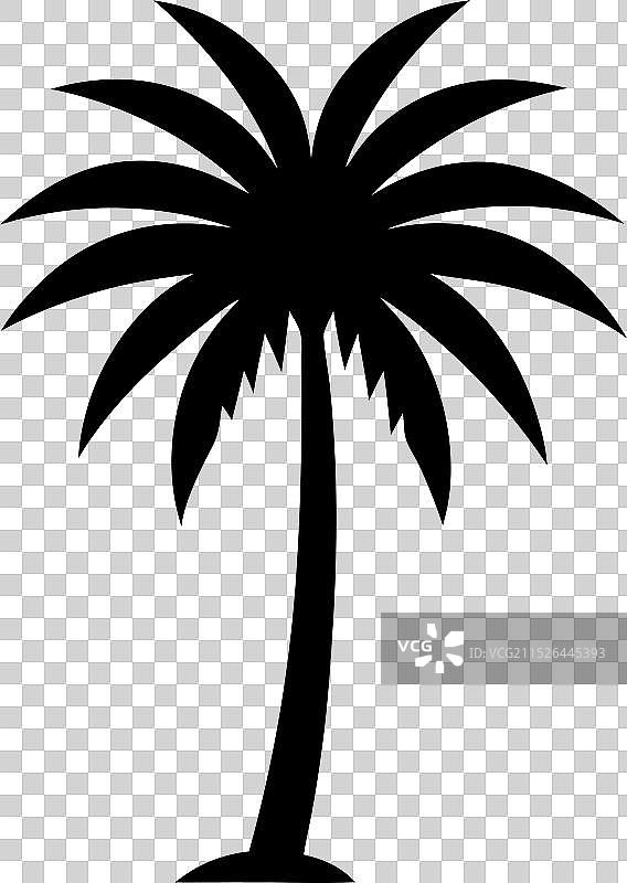 夏季棕榈树艺术图案6图片素材