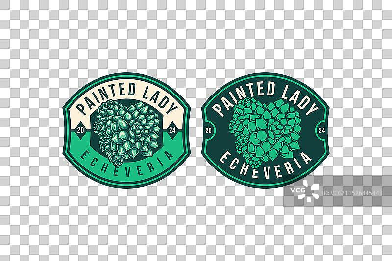 带有彩绘夫人拟石莲花徽章的多肉植物图片素材