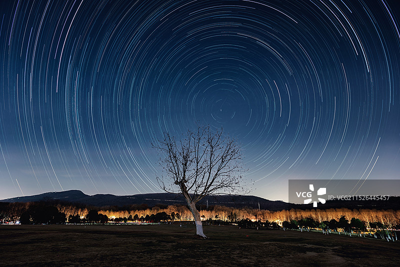 星空下的孤树图片素材