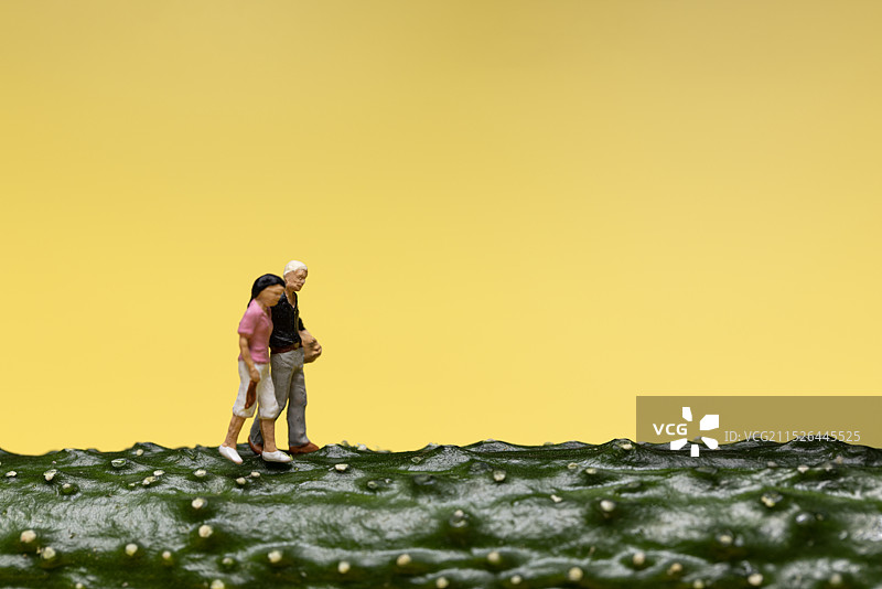 行走的伴侣图片素材