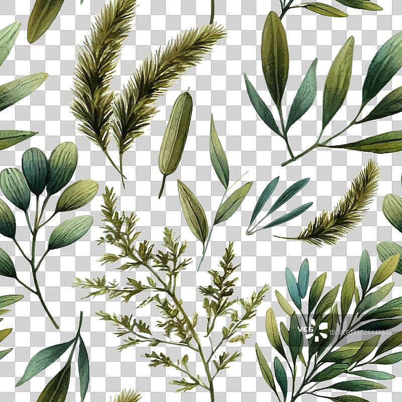 绿色树叶植物水彩画图片素材