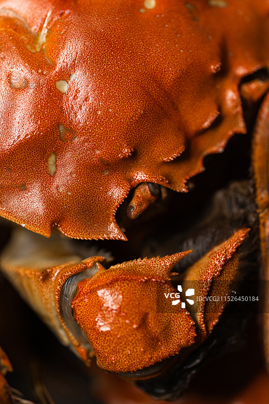煮熟的大闸蟹图片素材