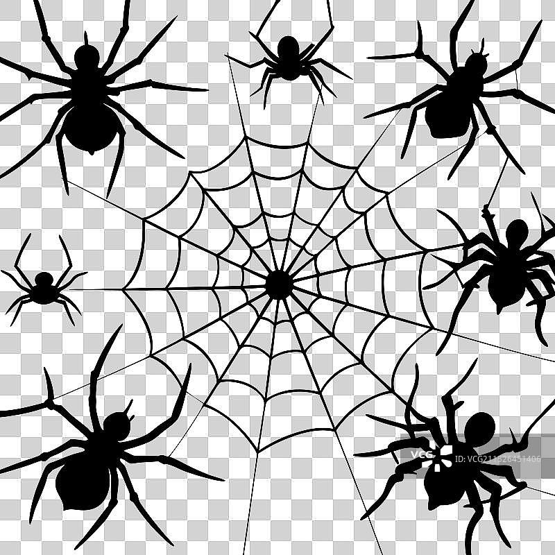 黑色剪影：蜘蛛和蜘蛛网1图片素材