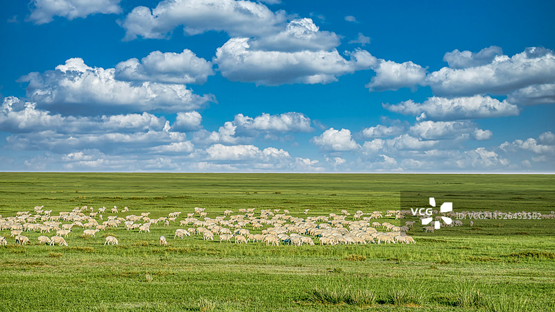 内蒙古大草原图片素材