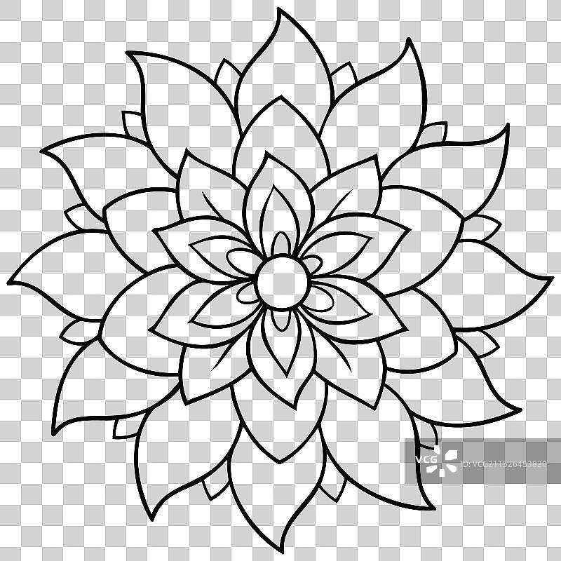 曼陀罗花线稿图片素材