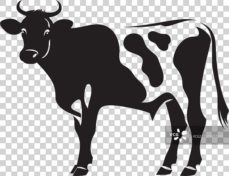 黑白牛科动物logo图标图片素材
