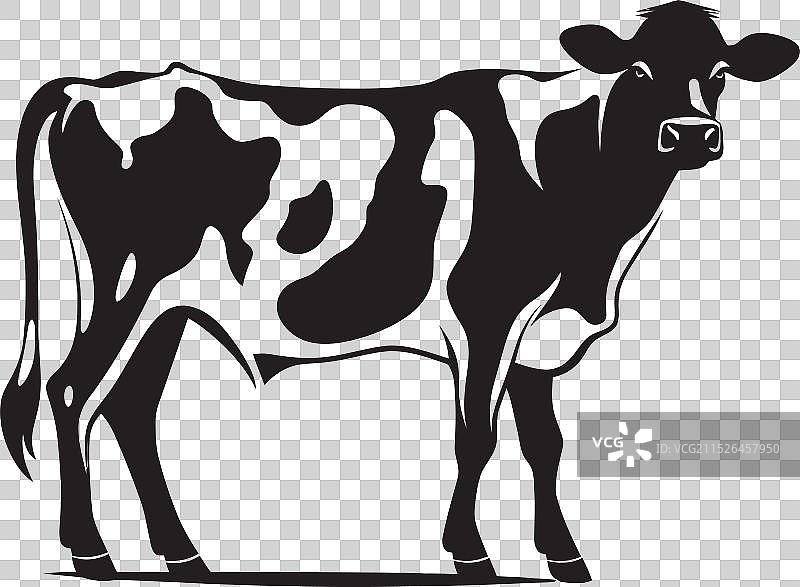 优雅的牛科动物设计元素图片素材