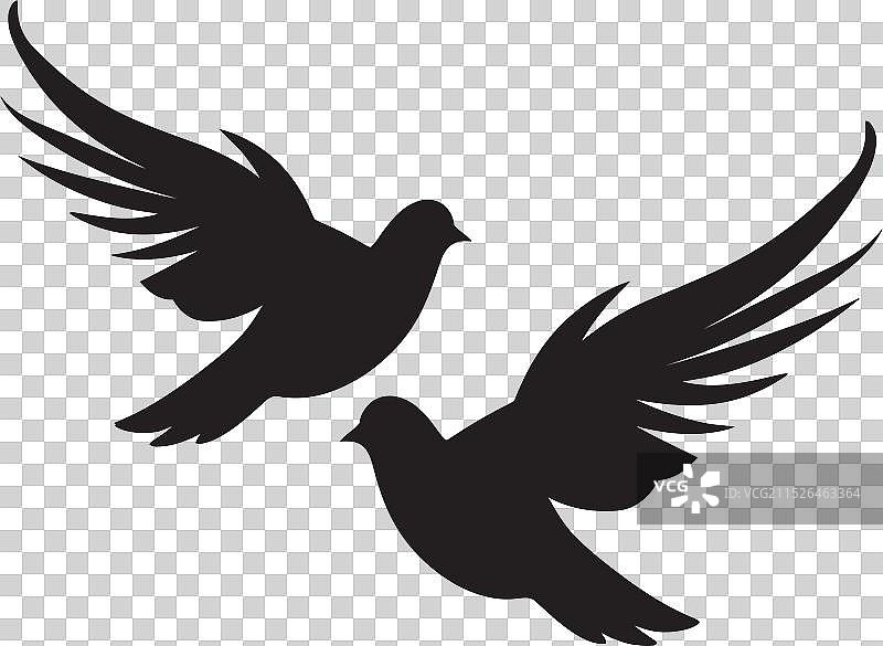 爱情鸟拥抱，优雅的鸽子对图标图片素材