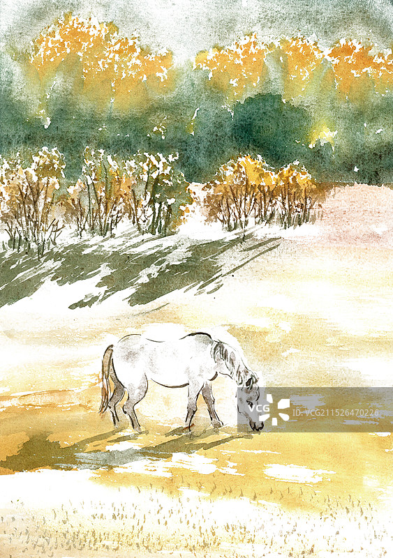 树林中的骏马图片素材