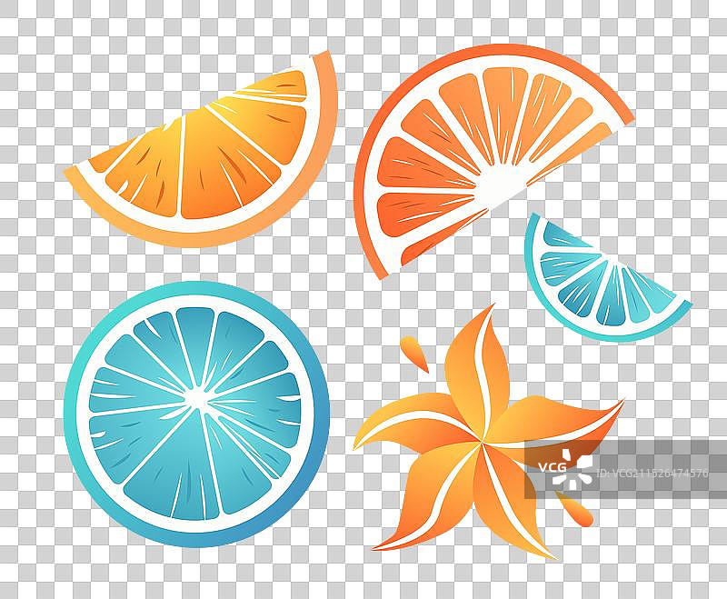 彩色柑橘水果切片和花朵（深色背景）图片素材