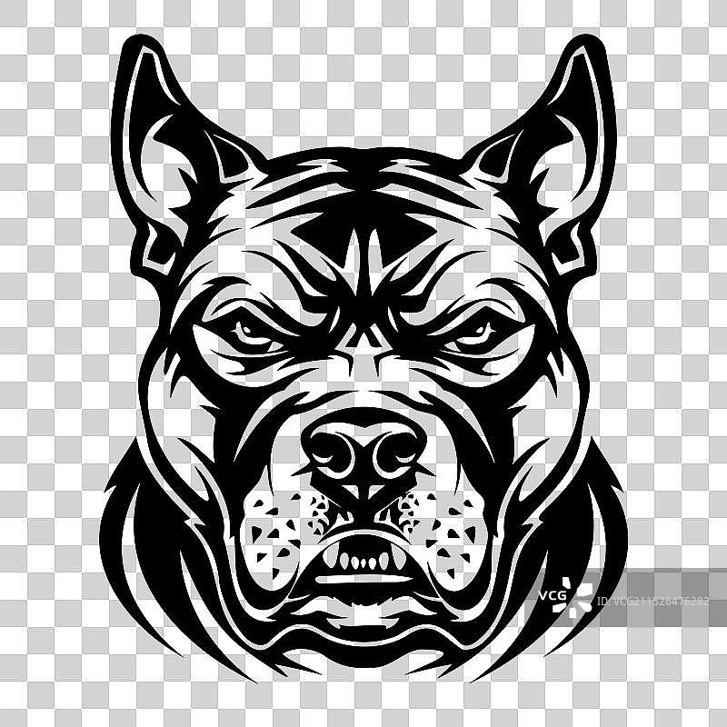 黑白斗牛犬面部特写图片素材