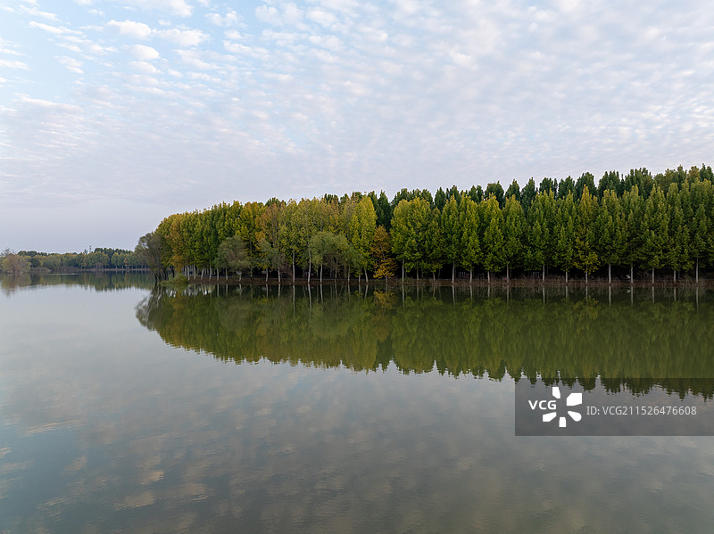 周口庆丰东路植物园湖秋天树林云景反射图片素材