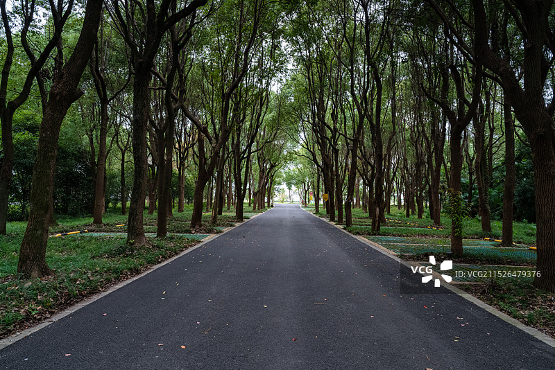 树林间的停车场道路图片素材