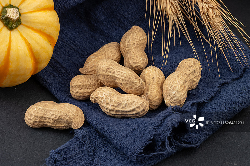 带壳的花生图片素材