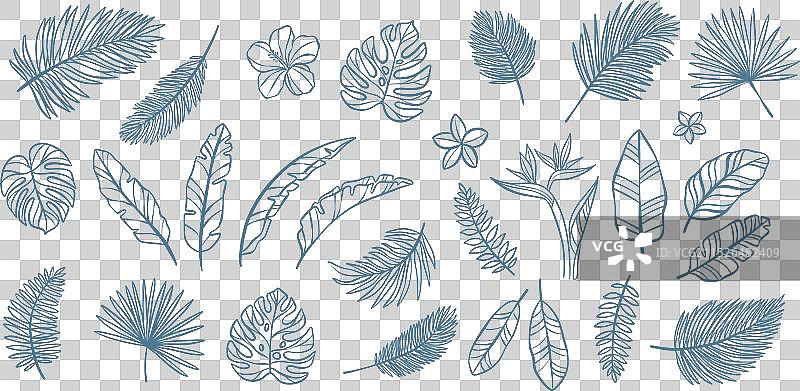 手绘热带叶子线条画集合图片素材