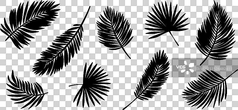 棕榈叶剪影剪贴画素材集图片素材