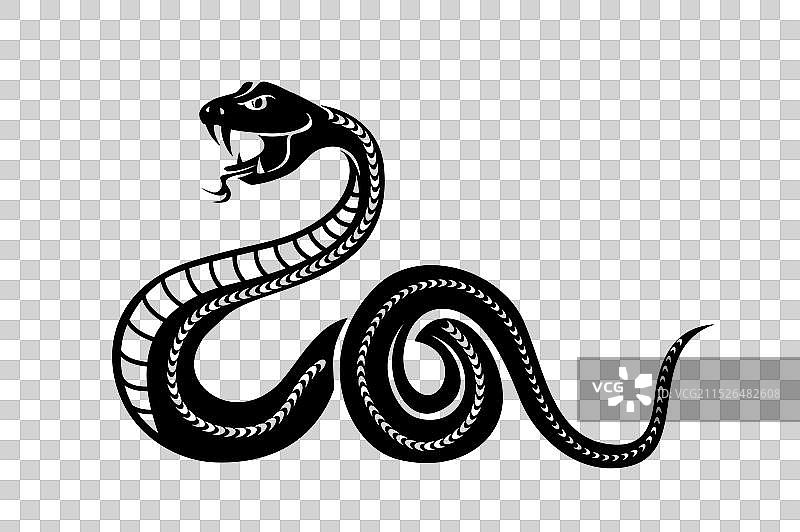 蛇爬行和攻击图标图片素材