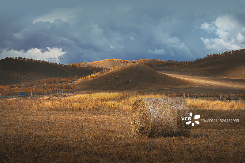 秋日草原光影中的草卷图片素材