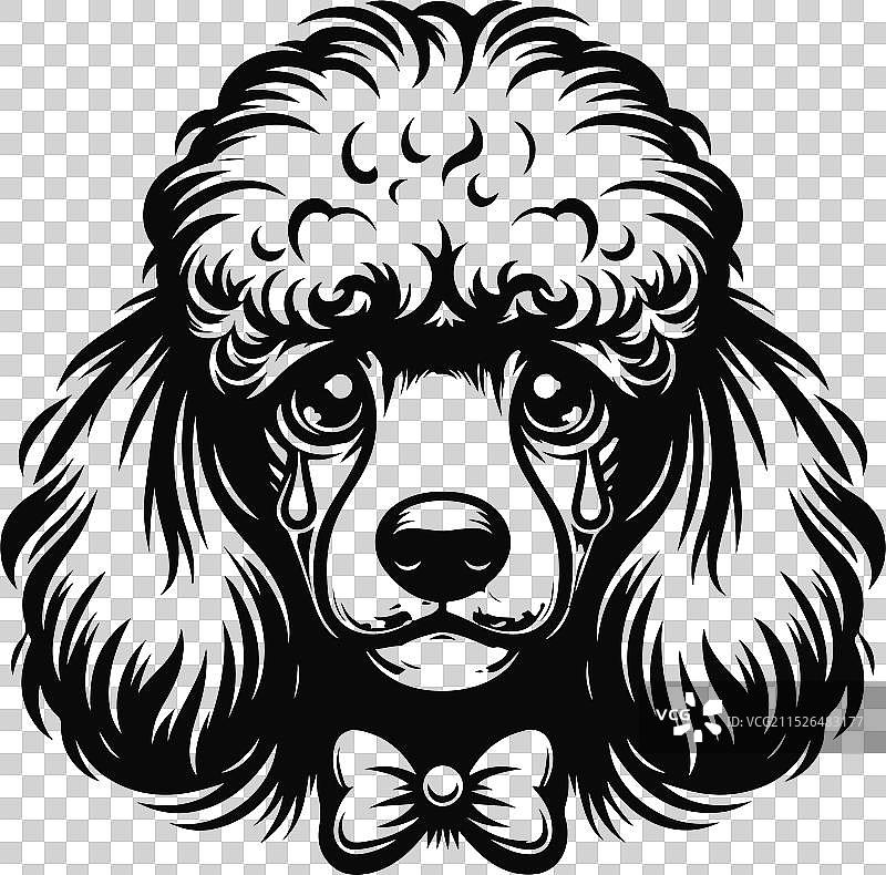 不同姿势的贵宾犬剪影图案图片素材