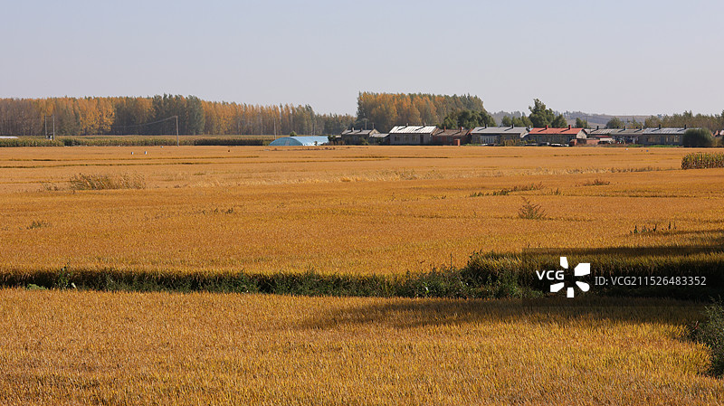 哈尔滨道外区滨江湿地风景区图片素材
