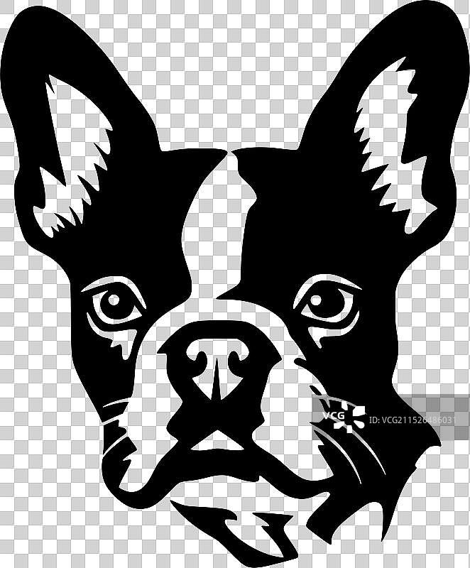 波士顿梗犬 - 简约扁平风格Logo图片素材