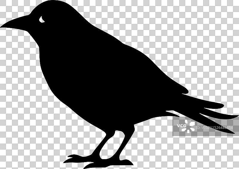 乌鸦极简扁平风格标志图片素材