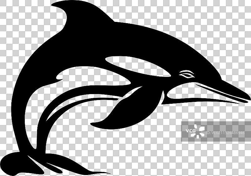 黑白海豚隔离图标图片素材