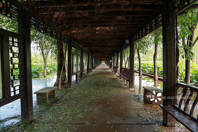 湘潭盘龙大观园图片素材