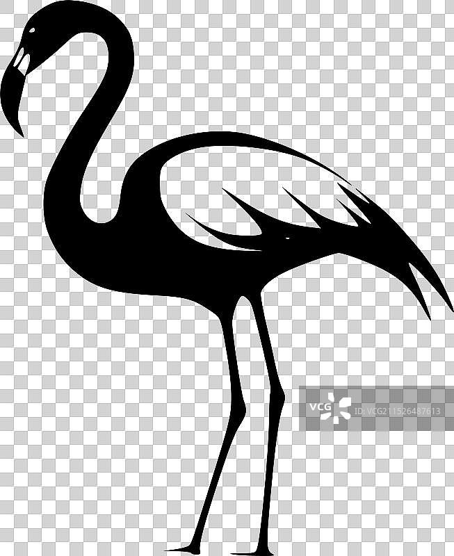 火烈鸟 - 黑白图片素材