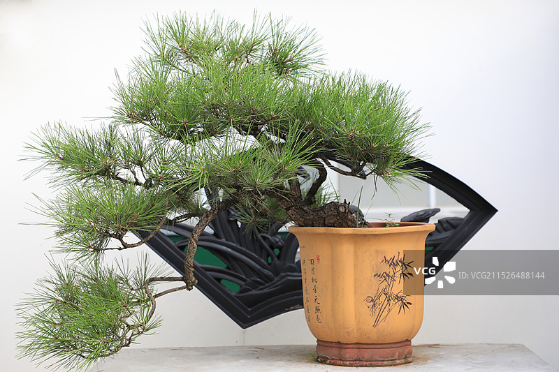 湘潭盘龙大观园图片素材