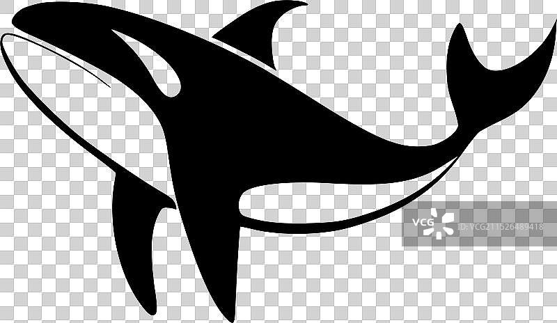 虎鲸 - 简约剪影图片素材