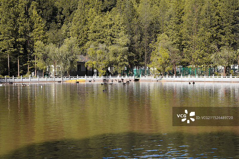 湘潭盘龙大观园图片素材