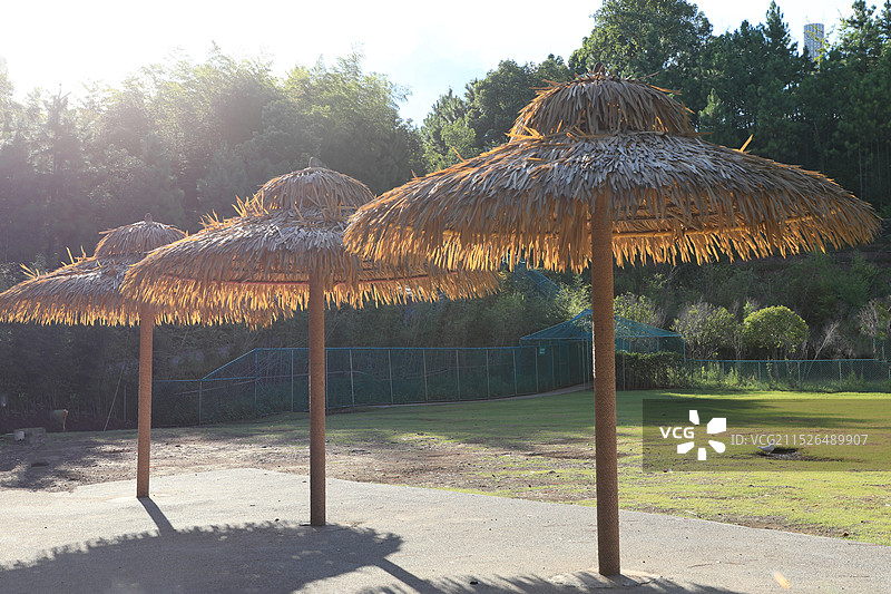 湘潭盘龙大观园图片素材