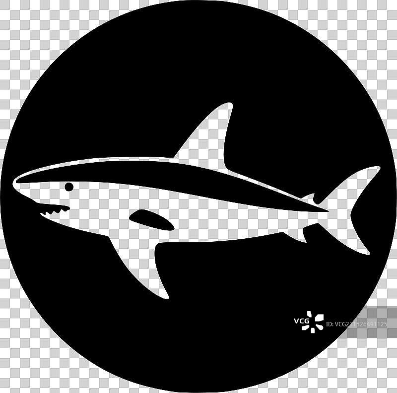 鲨鱼 - 黑白色图片素材