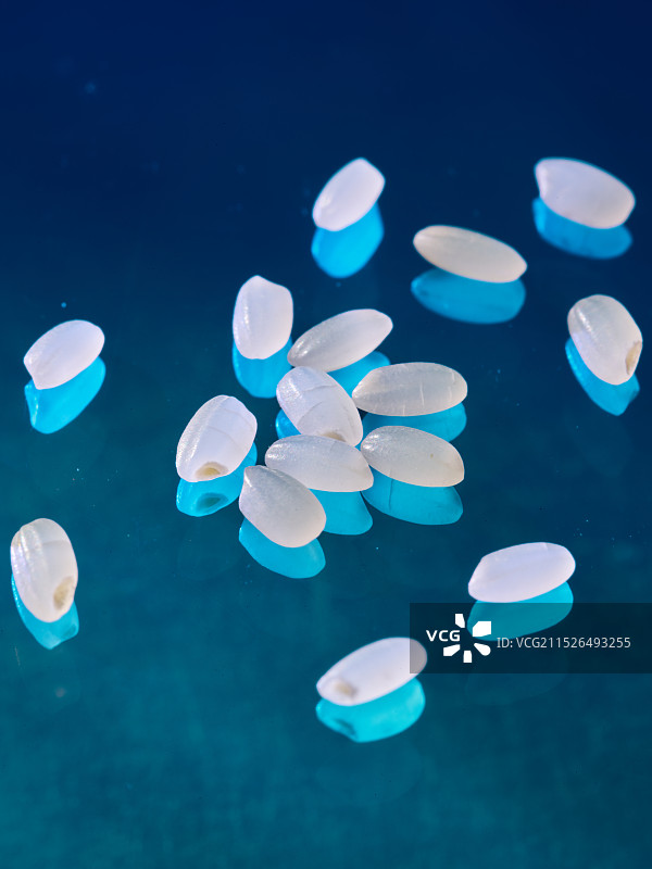 东北大米盘锦大米辽宁大米圆粒大米微距摄影细节拍摄单独大米粒特写超清晰大米稻米图片素材