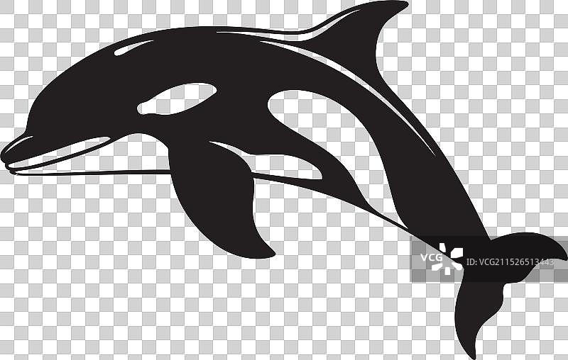 可爱的虎鲸标志图片素材