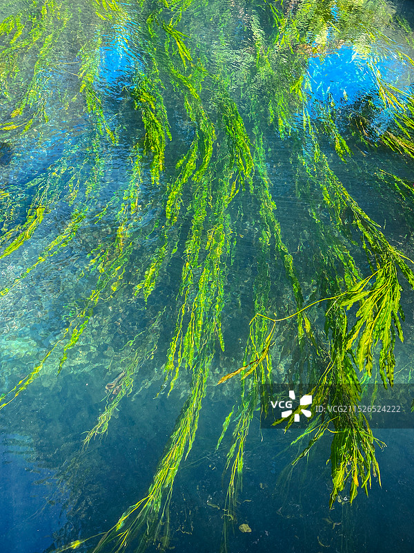 保山腾冲荷花镇坝派巨泉景区图片素材