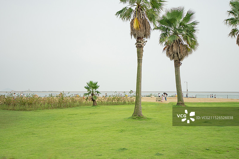 上海金山城市沙滩景区图片素材