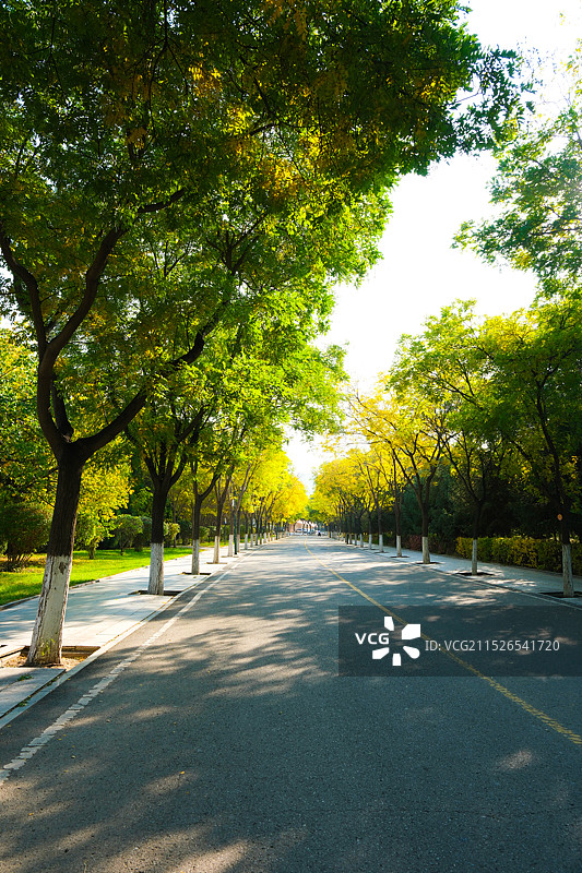 兰州理工大学校园道路图片素材