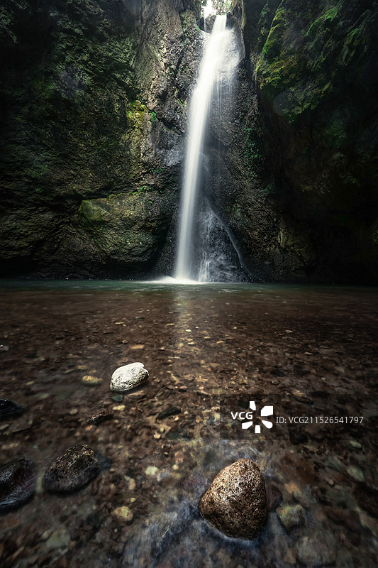 梅雨潭的绿图片素材