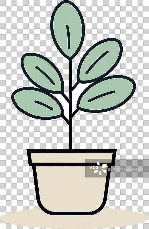 伊甸园植物之美图片素材