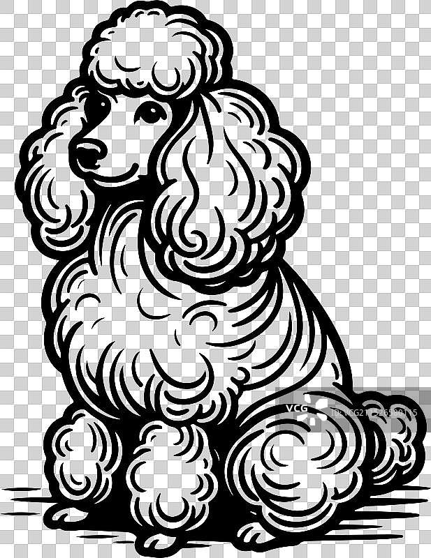 手绘线条侧面玩具贵宾犬图片素材