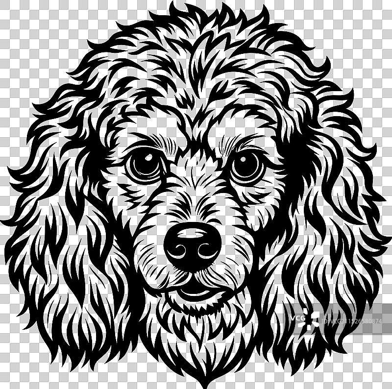 手绘线条侧面玩具贵宾犬图片素材