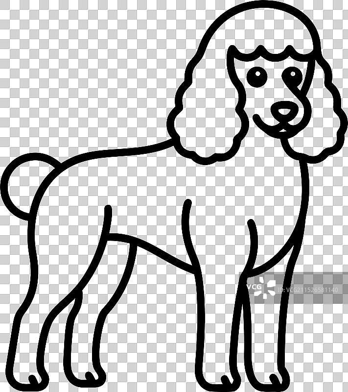 手绘线条侧面玩具贵宾犬图片素材