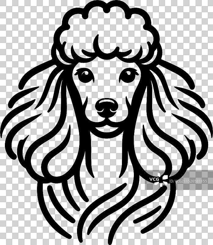 手绘线条侧面玩具贵宾犬图片素材