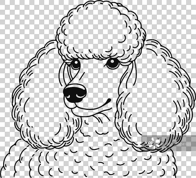 手绘线条侧面玩具贵宾犬图片素材