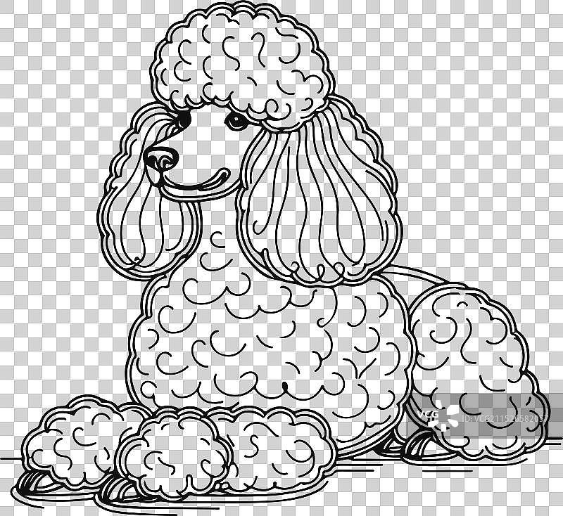 手绘线条侧面玩具贵宾犬图片素材