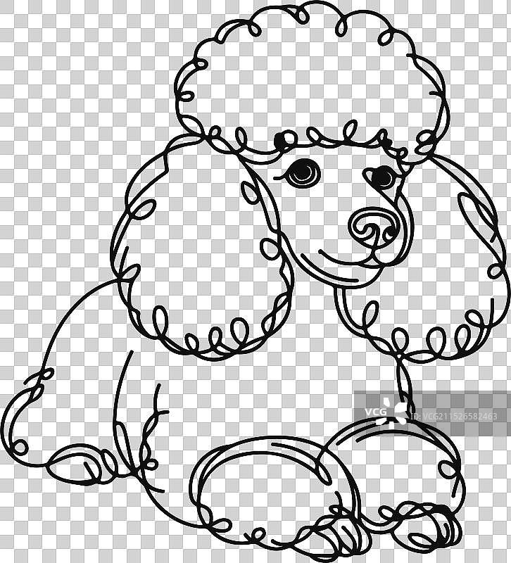 手绘线条侧面玩具贵宾犬图片素材