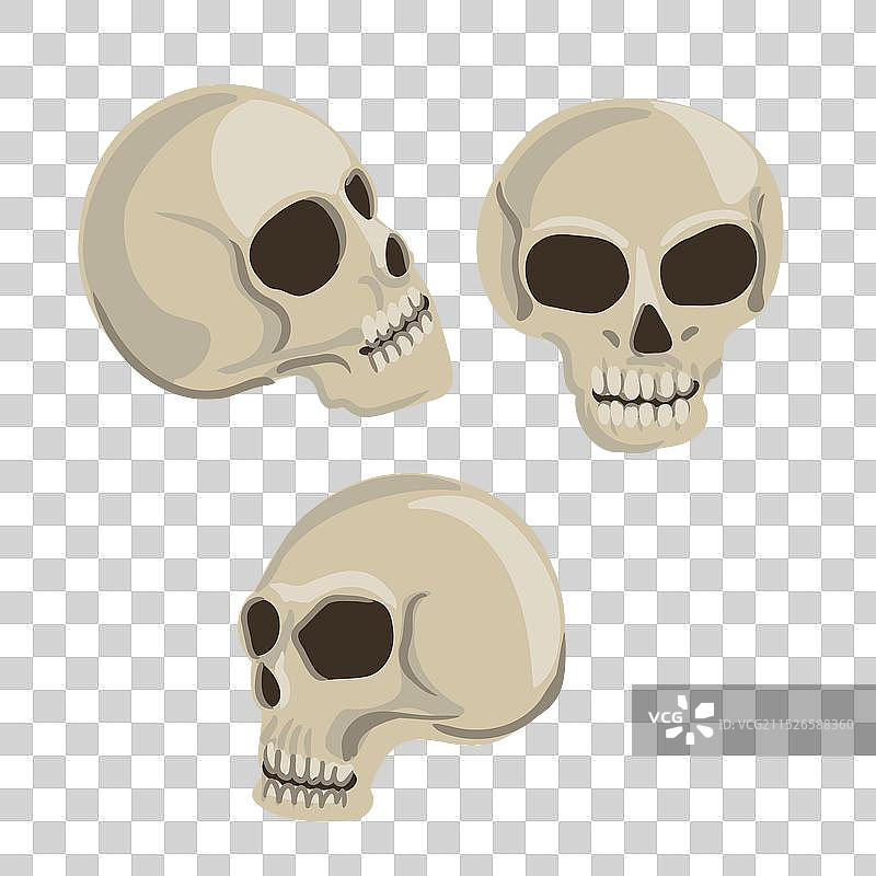 人头骨绘画图片素材